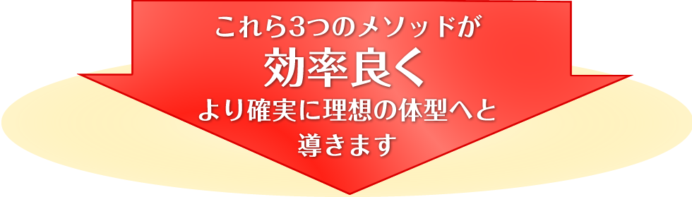これら3つのメソッドが 効率良くより確実に理想の体型へと導きます