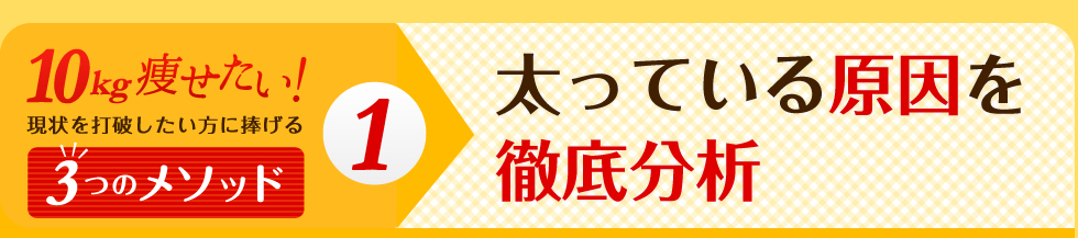 10kg痩せたい！現状を打破したい方に捧げる3つのメソッド！太っている原因を徹底分析