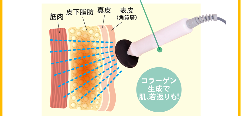 コラーゲン生成で肌、若返りも！