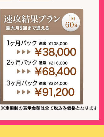 速攻結果プラン