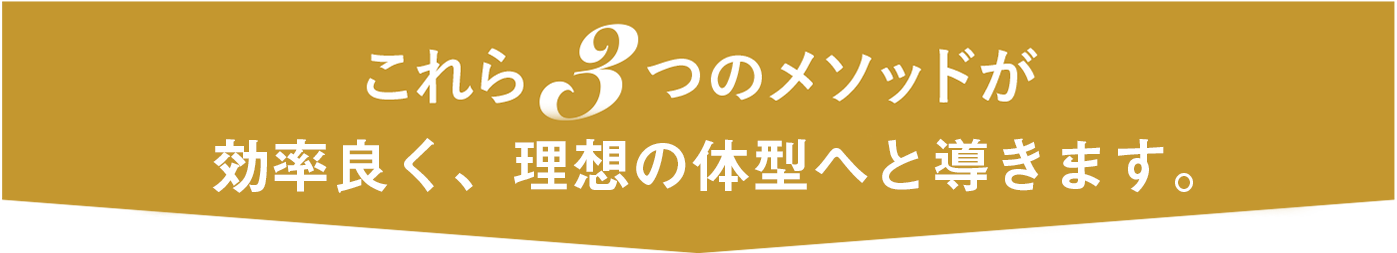 これら３つのメソッドが効率良く理想の体型へと導きます