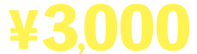 3000円