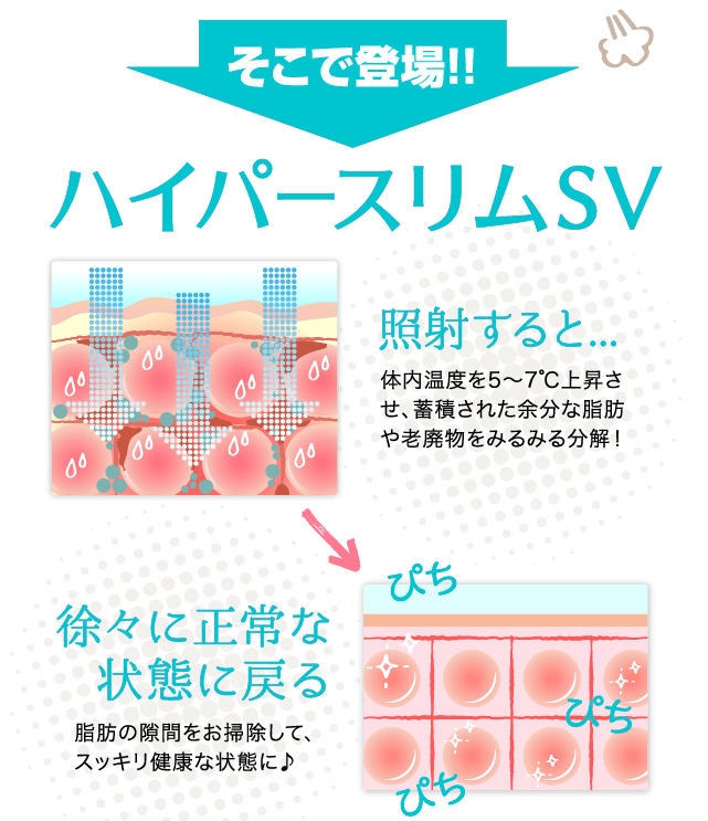 イラストで分かる仕組み2