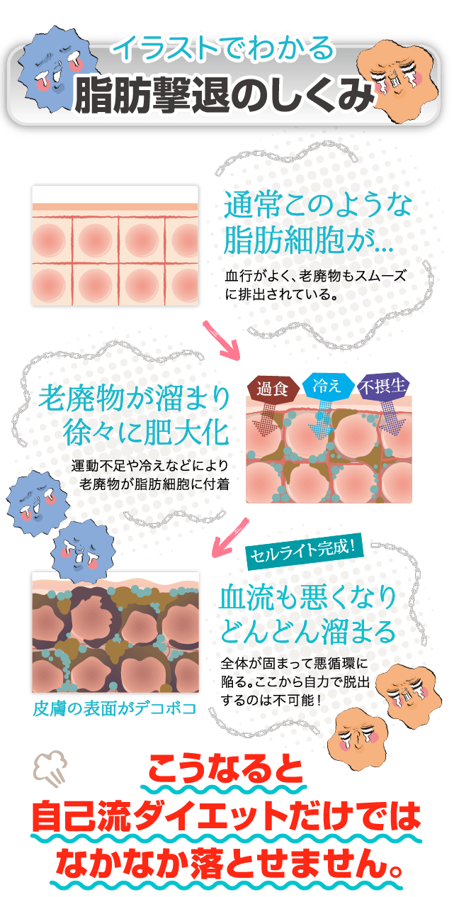 イラストで分かる仕組み1